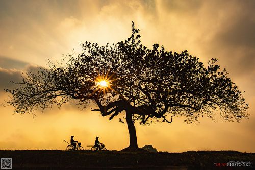 Rural Sunset