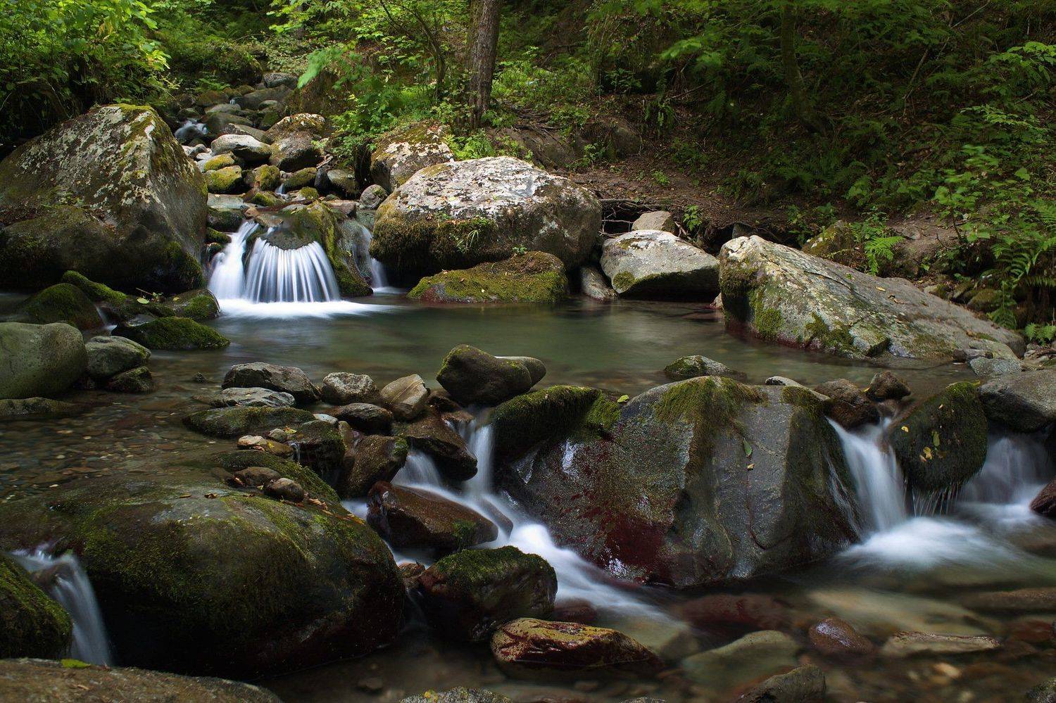 горы август речка, Евгений Никишин