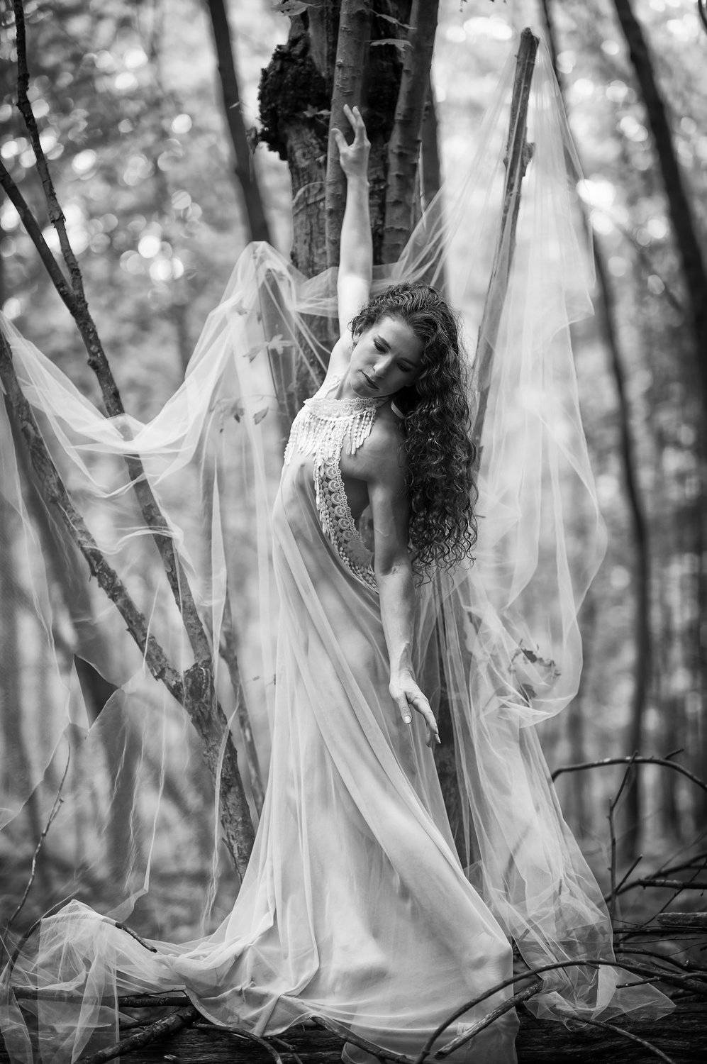 woodland beauty, Gerald Johnson