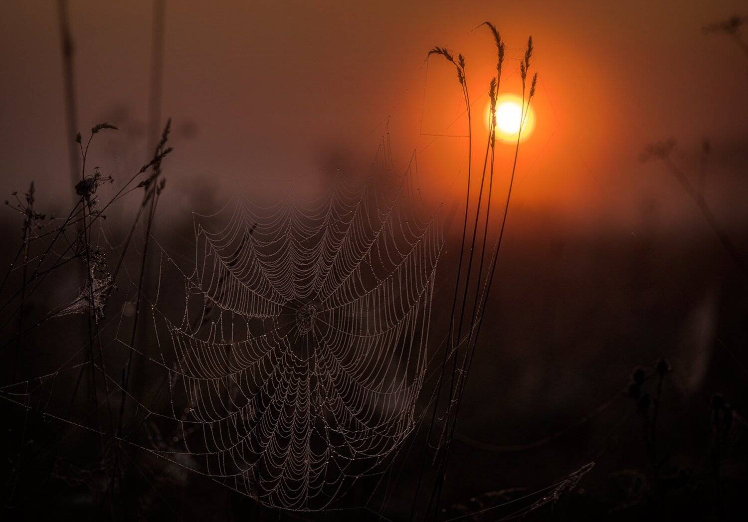 , Юрий Юрьев