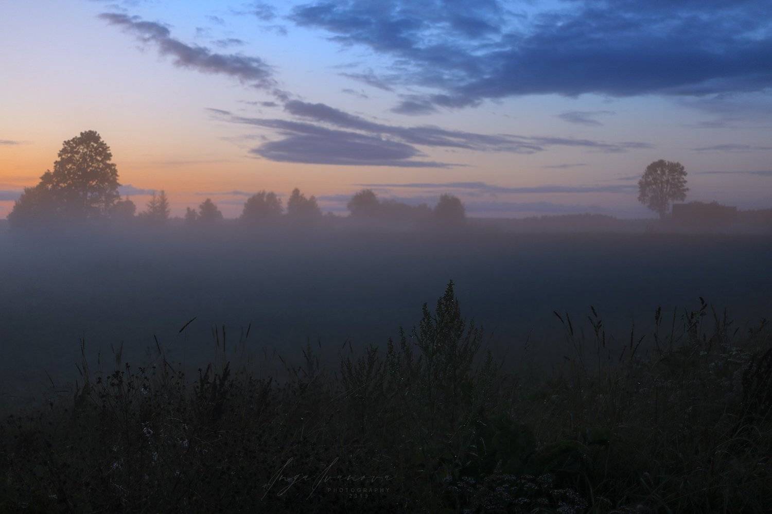 сорняки в темном тумане ..., Инга Иванова