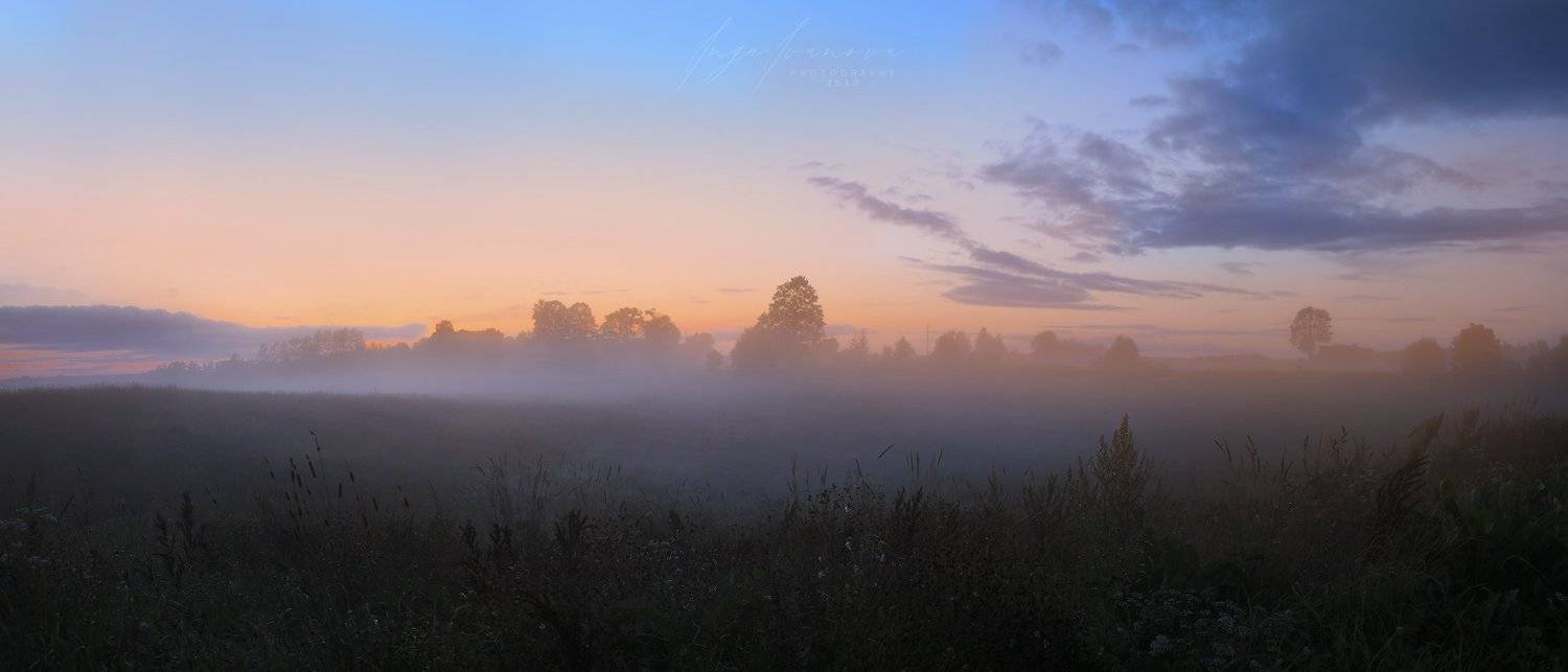 сорняки в темном тумане ..., Инга Иванова