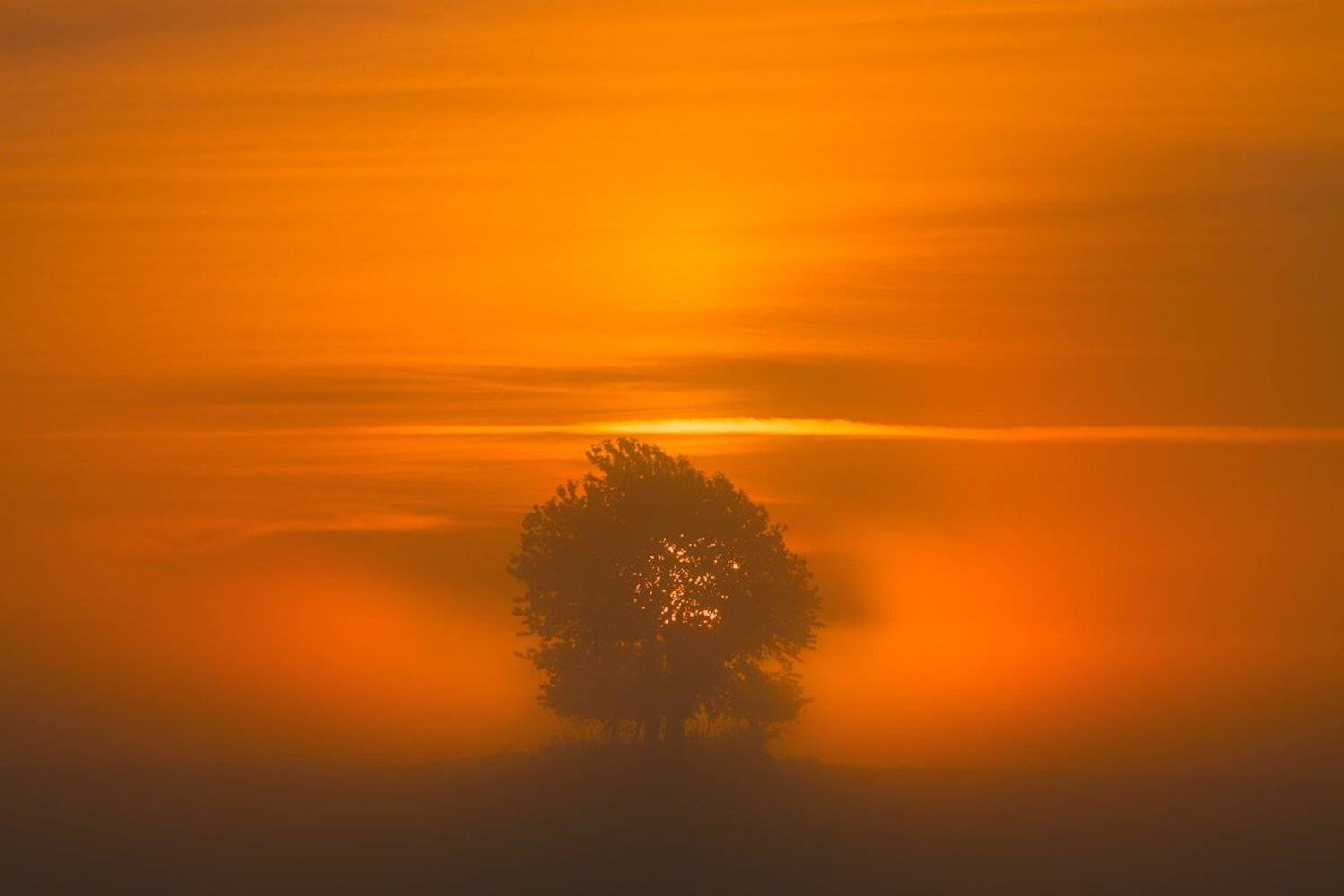 landscape,canon,mist,light,summer, Iza i Darek Mitręga