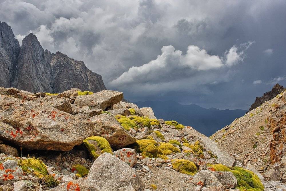 кыргызстан, горы, Элина Магалимова