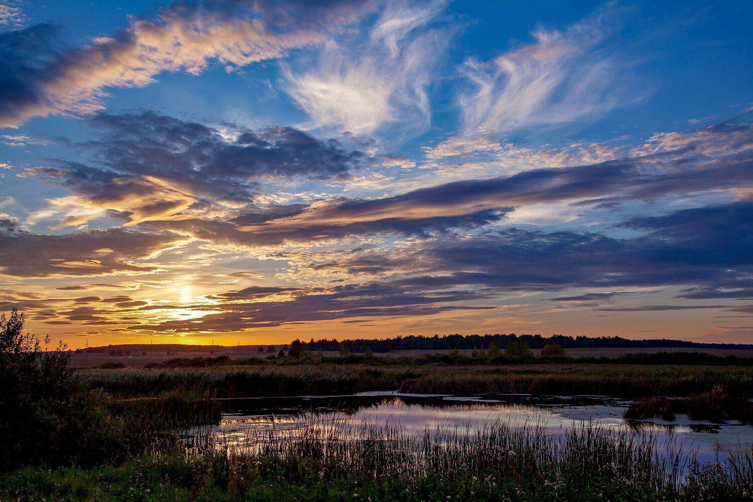 , Сергей Евдокимов