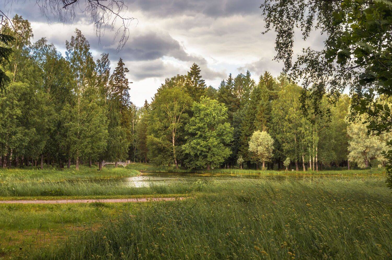 , Алексей Герасимов