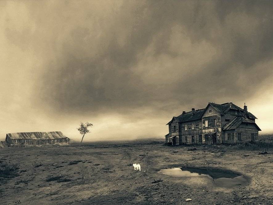 , T. Bondarenko