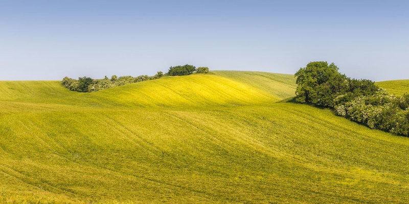 Ковры фото превью