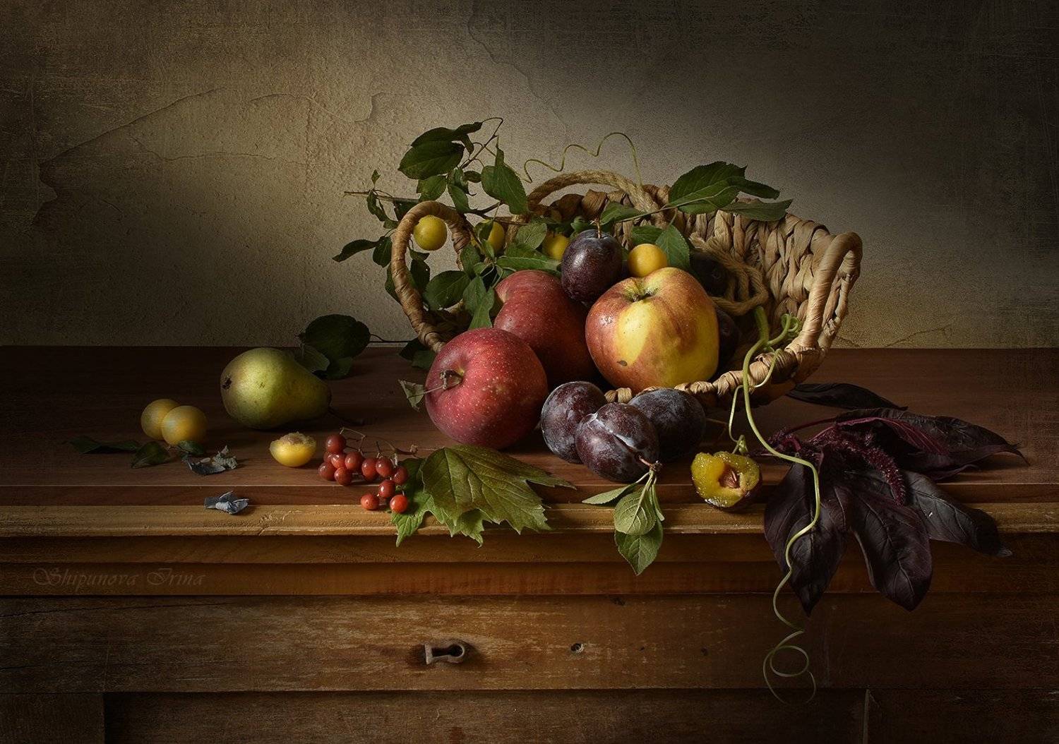 , Шипунова Ирина