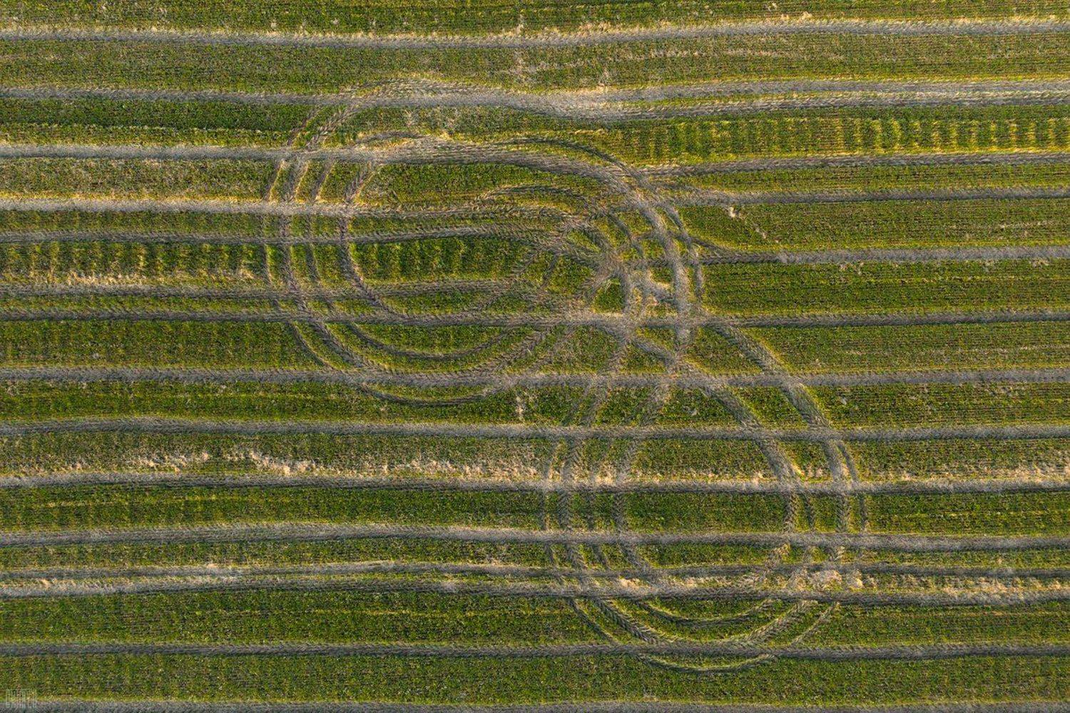 , Дмитрий Доронин