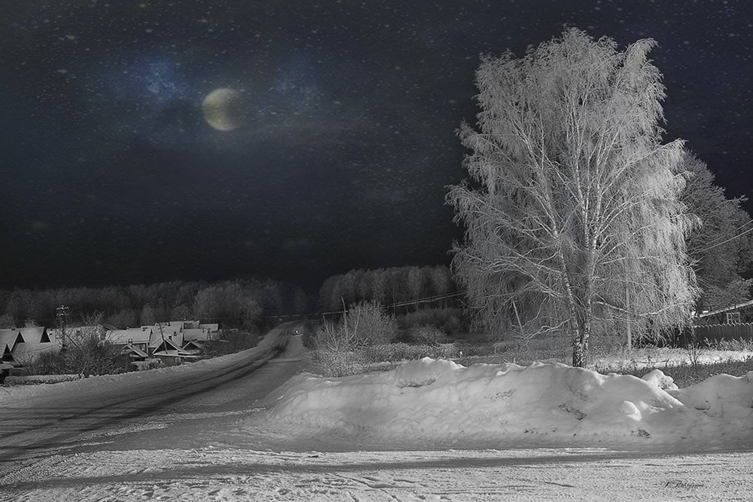 зима,береза,дорога,, Вера  Павлухина