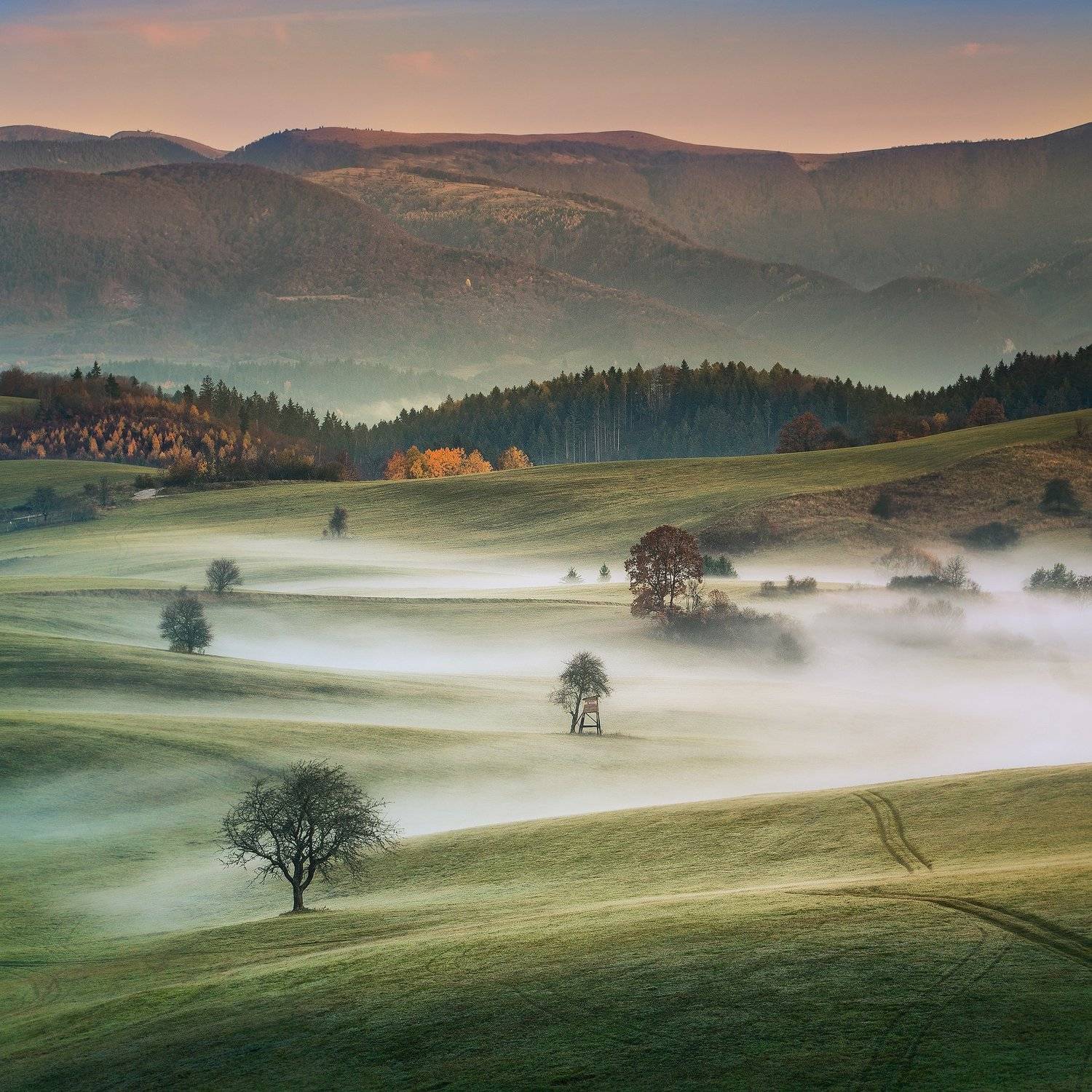 slovakia, morning, meadows, foggy, trees, mountain, , Adrian Misiak