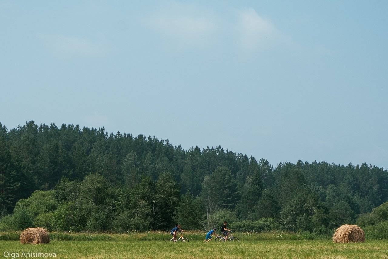 , Анисимова Ольга Леонидовна