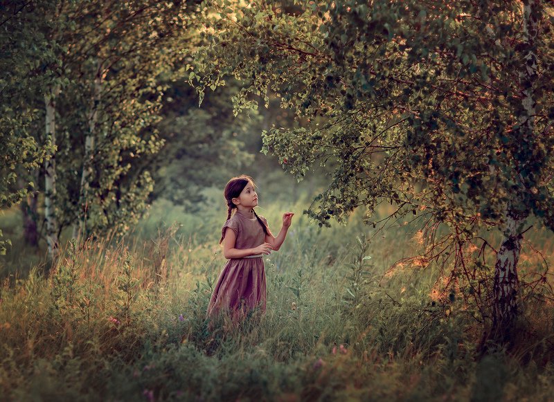 березки фото превью