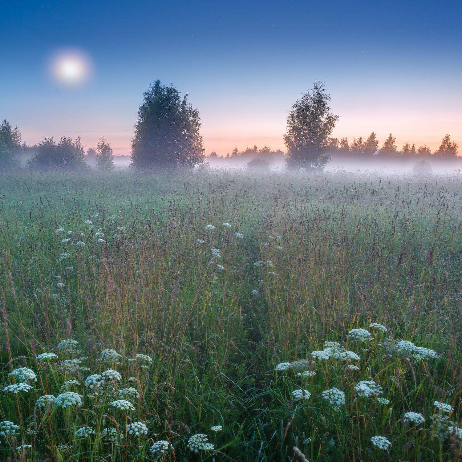 , Алексей Чистяков