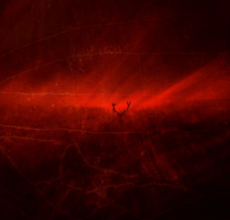 RED KING фото превью