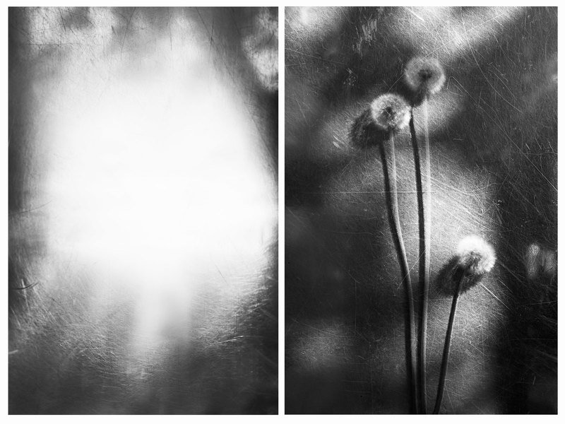 the thread /нить/  фото превью