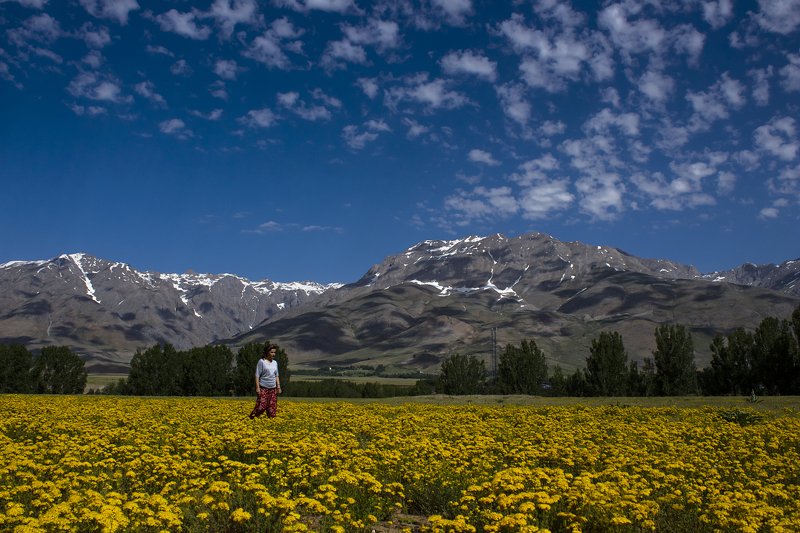 landscape,view,spring,art,travel,colors,dreams,freedom,passion,peace,clouds,mountains,photography, SPRING фото превью