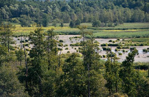Подмосковье заповедное – кадры из альбома