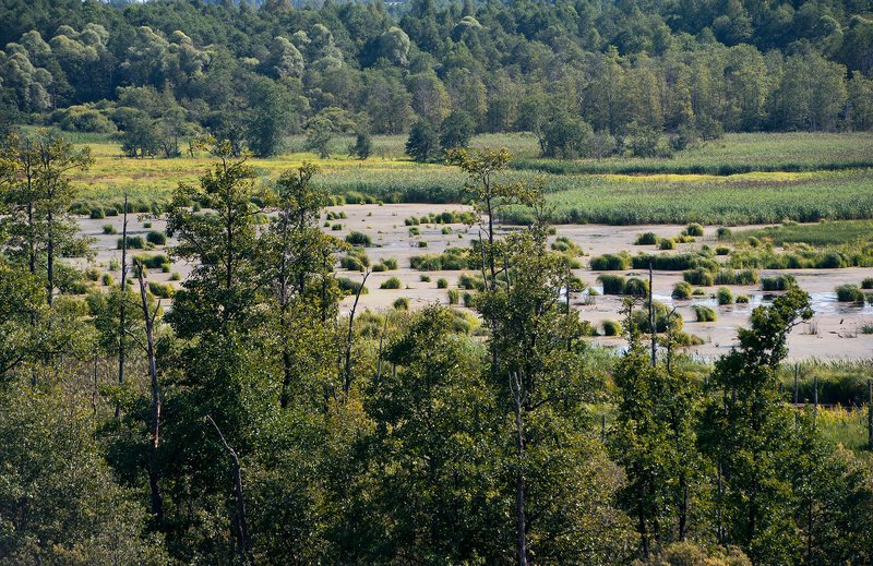 подмосковье заповедное, фотоальбом, оопт, московская область, природа, экология, фонд «верховье», русанов александр владимирович Подмосковье заповедное – кадры из альбома фото превью