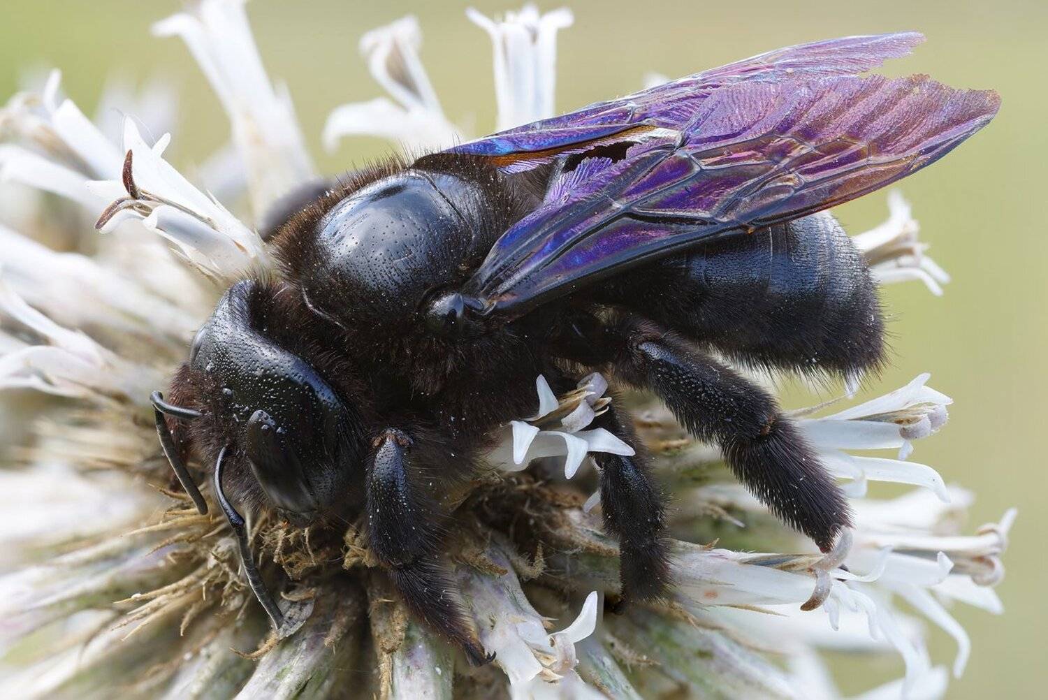 , Кузнецов Дмитрий