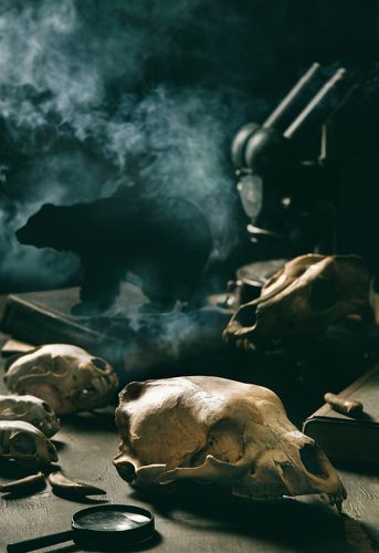 палеонтология