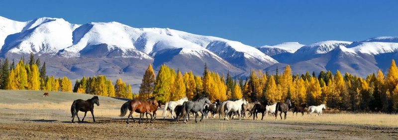По степи фото превью
