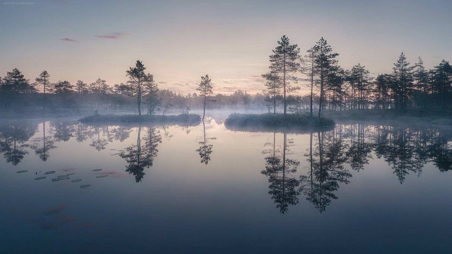 , Антон Кононов