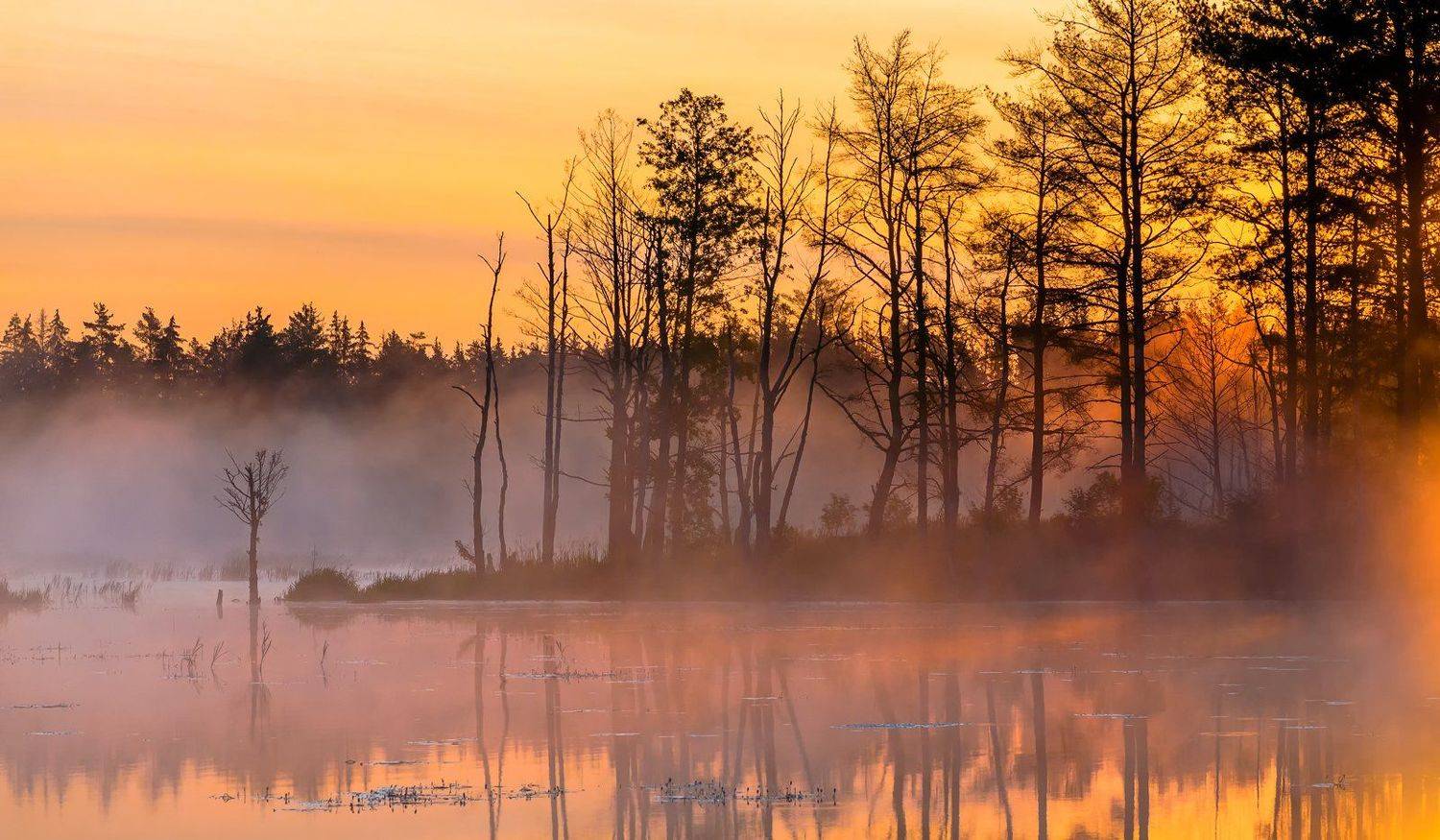 , Руслан Авдевич