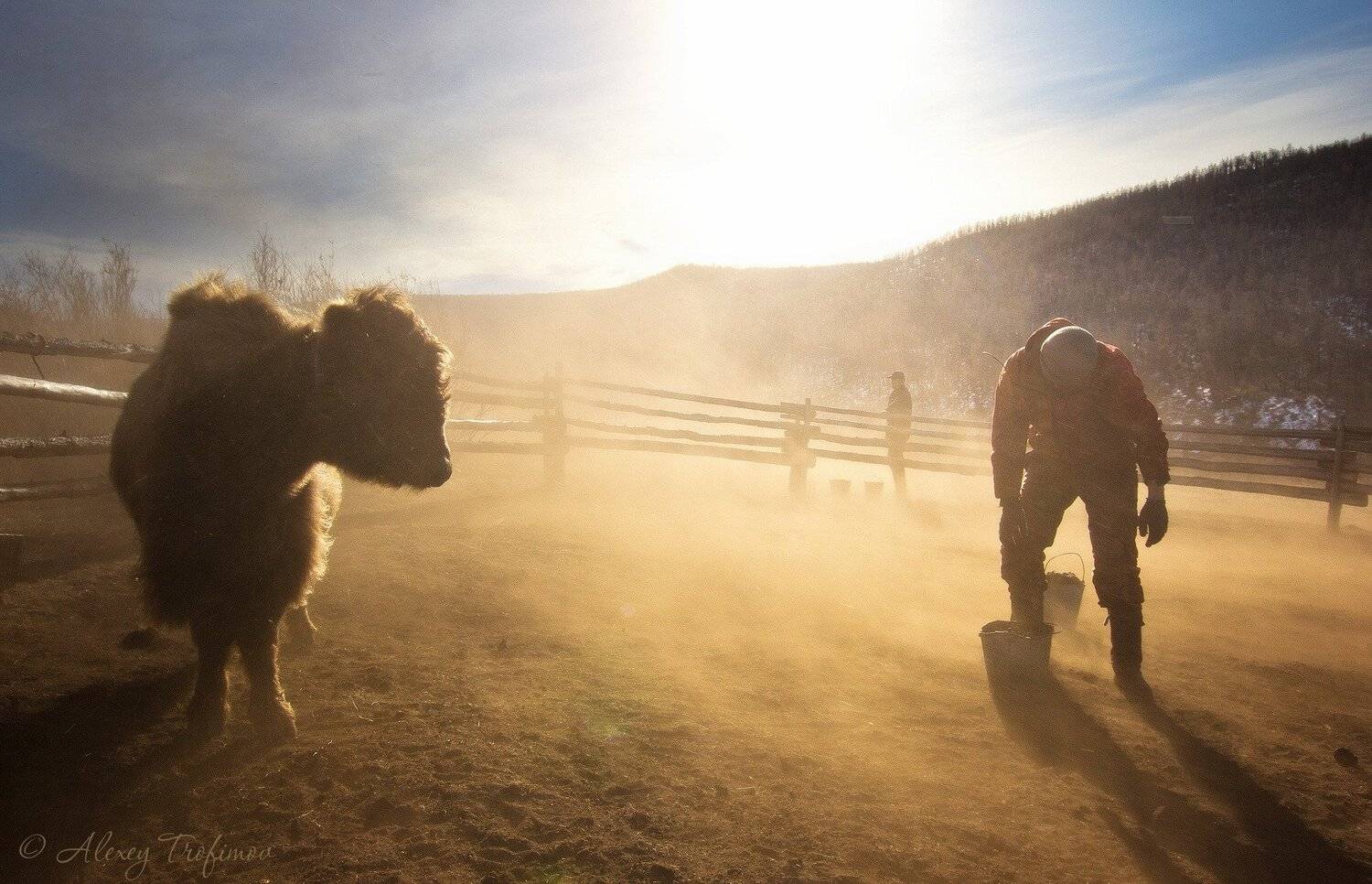 , Алексей Трофимов