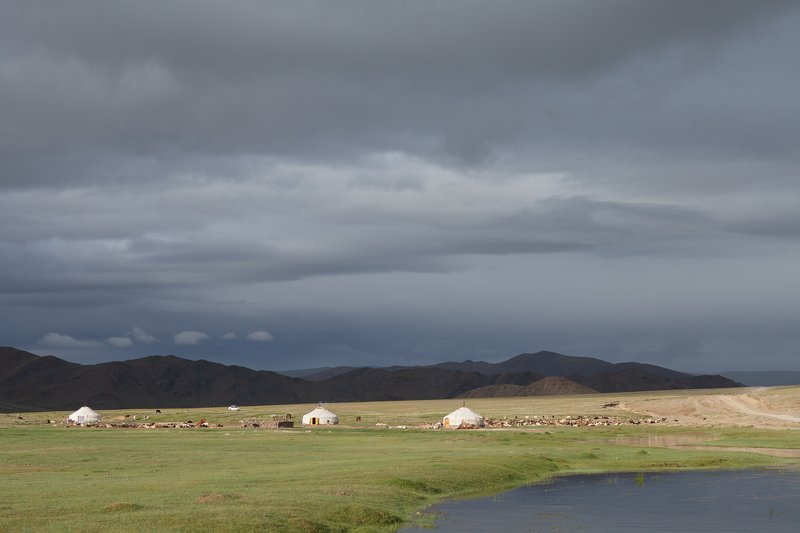 монголия *** фото превью