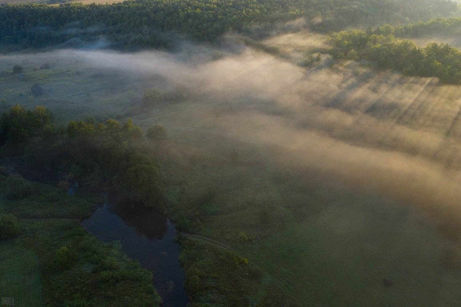 , Дмитрий Доронин