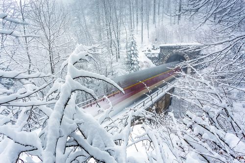 Snow train