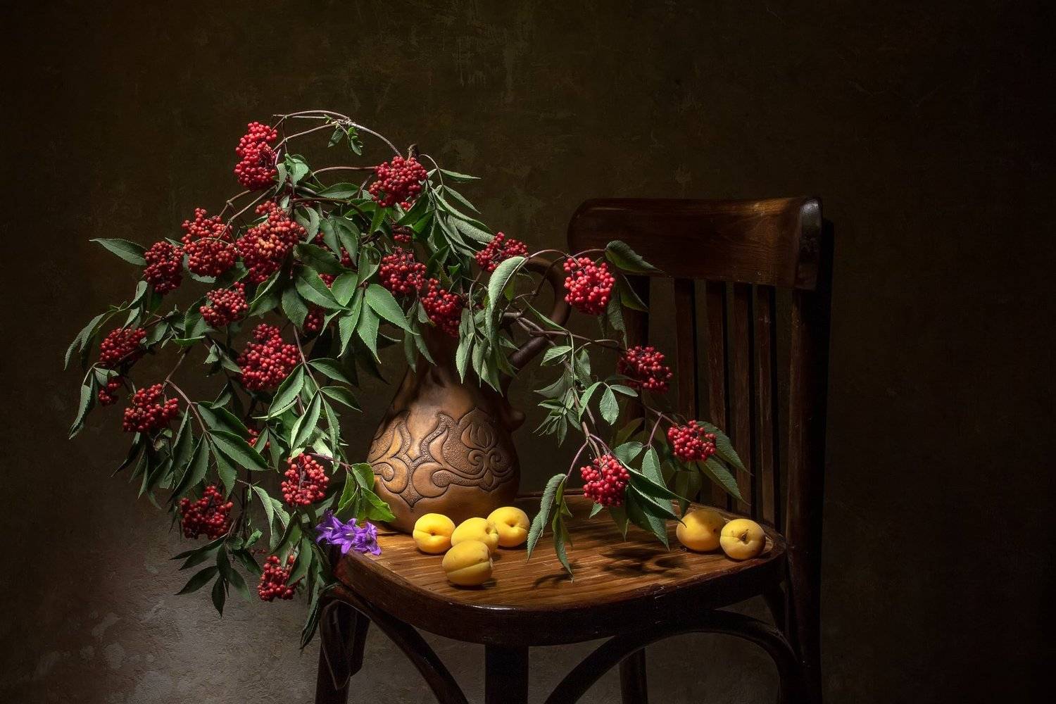 натюрморт, бузина, абрикосы, Татьяна Феденкова