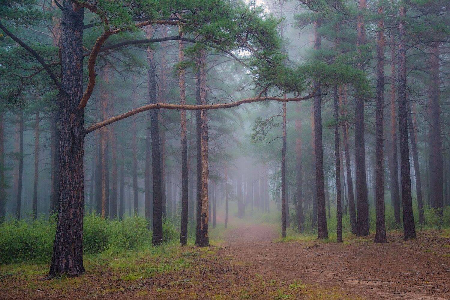 , Сергей Брагин