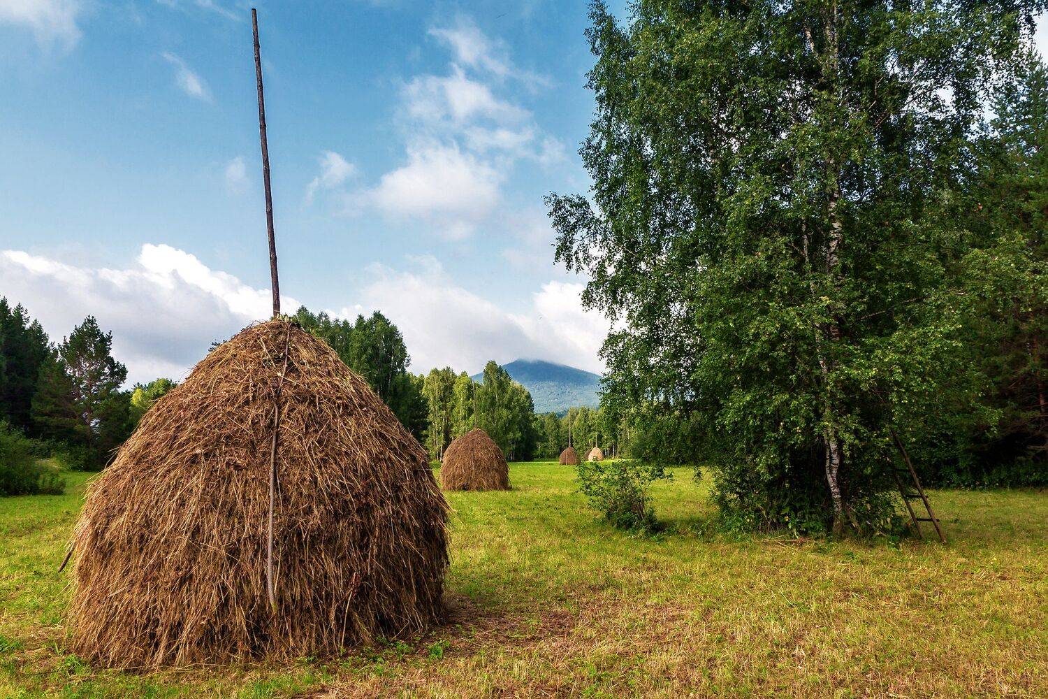 копна, сено, природа, южный урал, Сергей Евдокимов