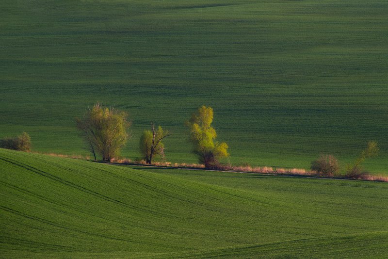 Spring heritage. фото превью