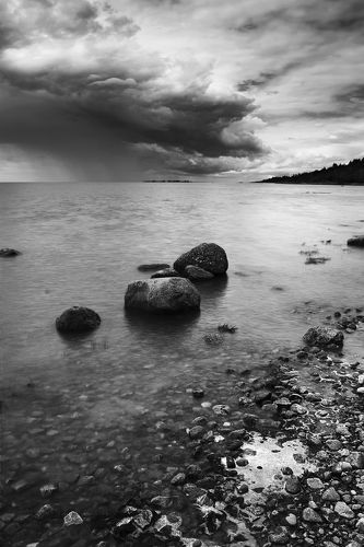 Сестрорецкий пейзаж