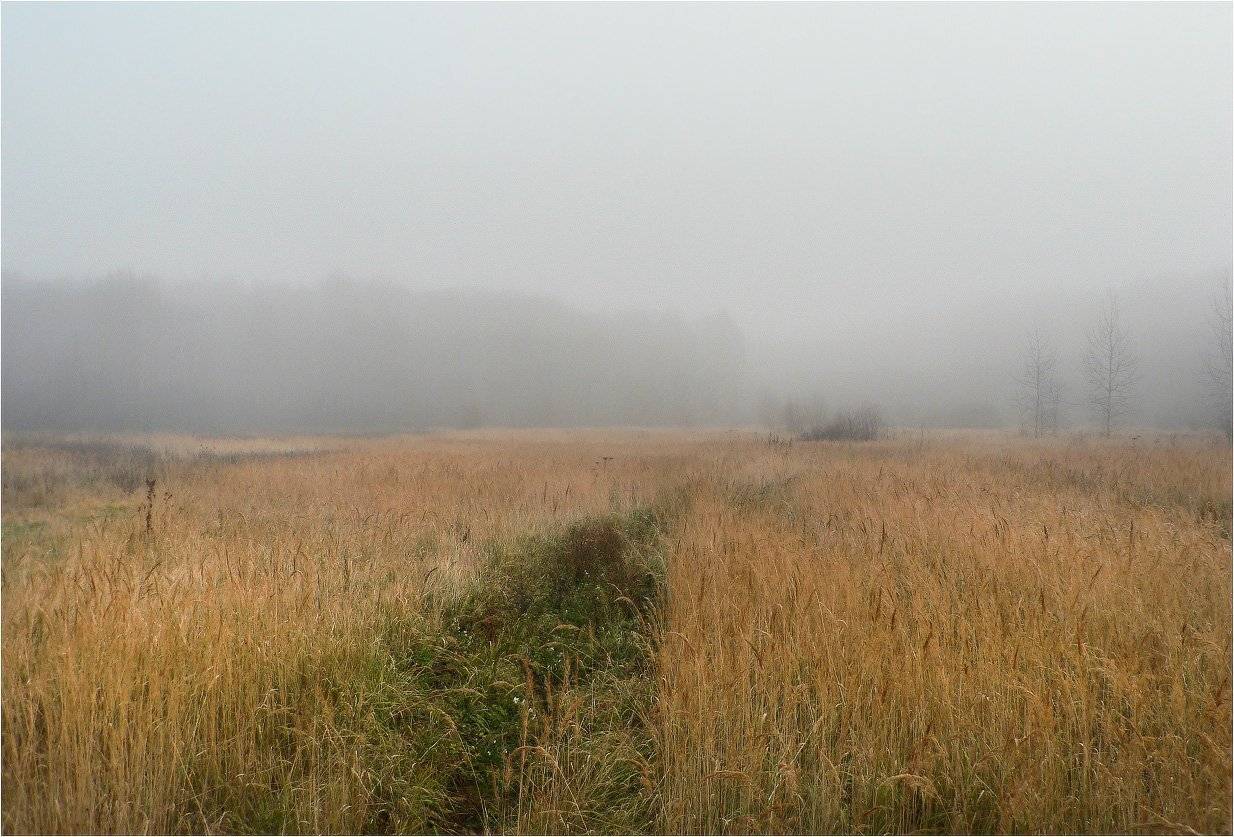 туман, КарОл