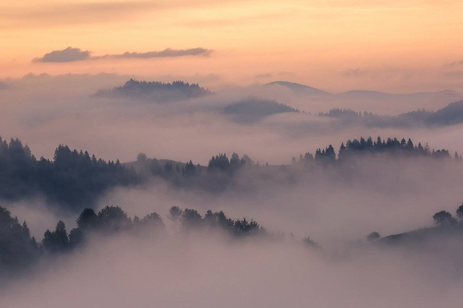 , Вячеслав Мищенко