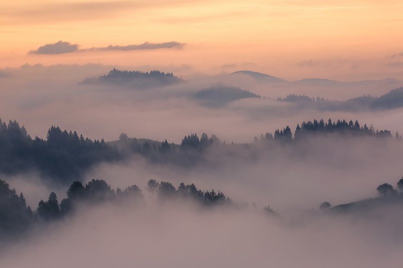 Карпаты.Красноилля. фото превью