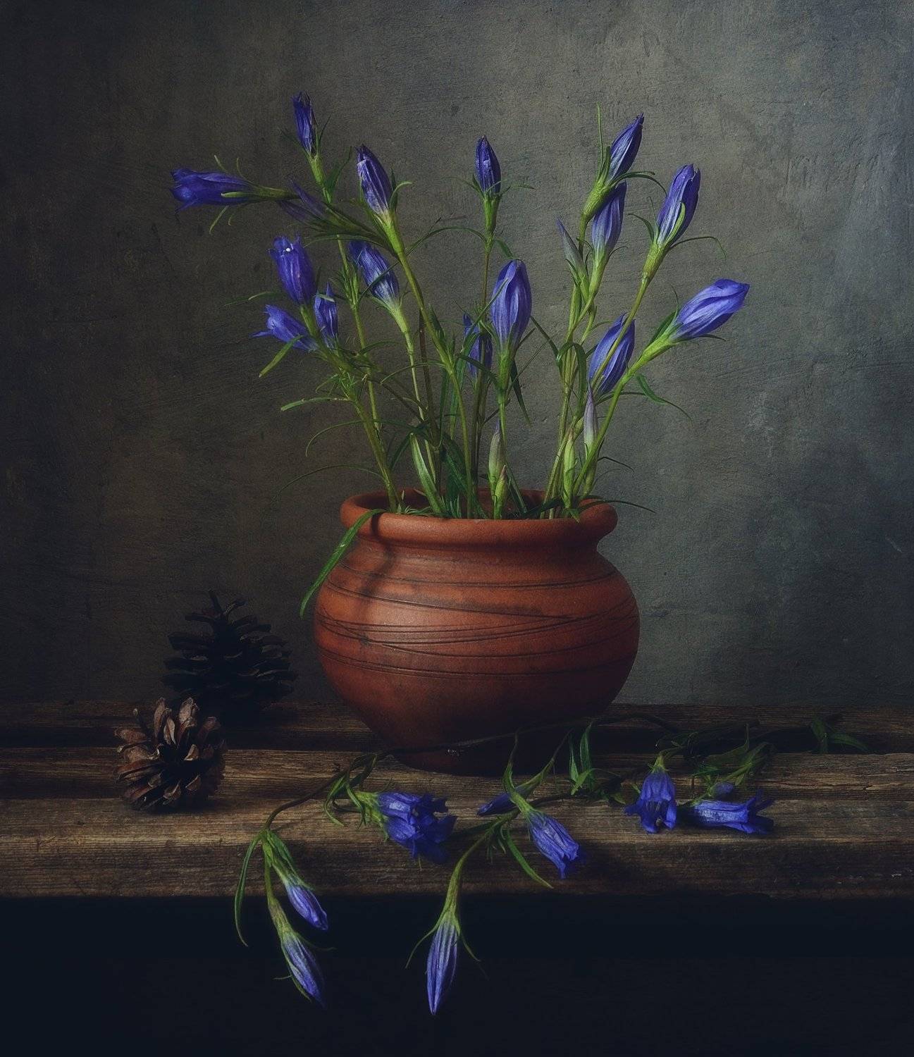 натюрморт,still life,цветы,горечавка, Наталия К