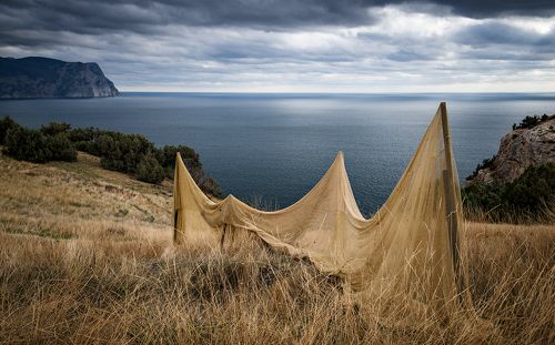 В сети попала осень...