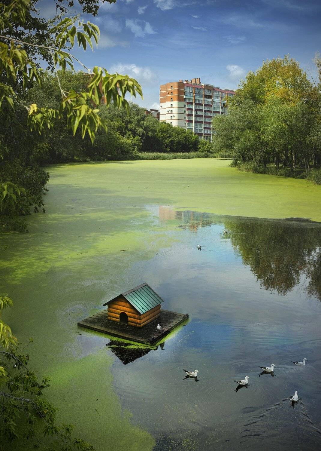 , Бусыгин Борис