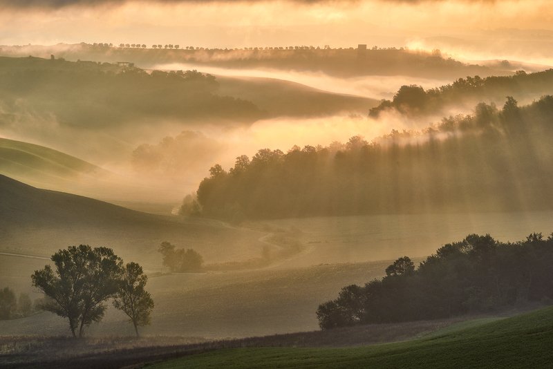 Tuscany fields фото превью