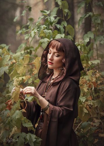 В чаще лесной