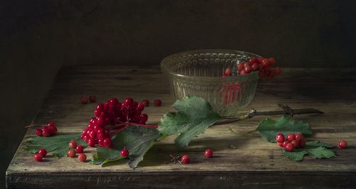 Калина