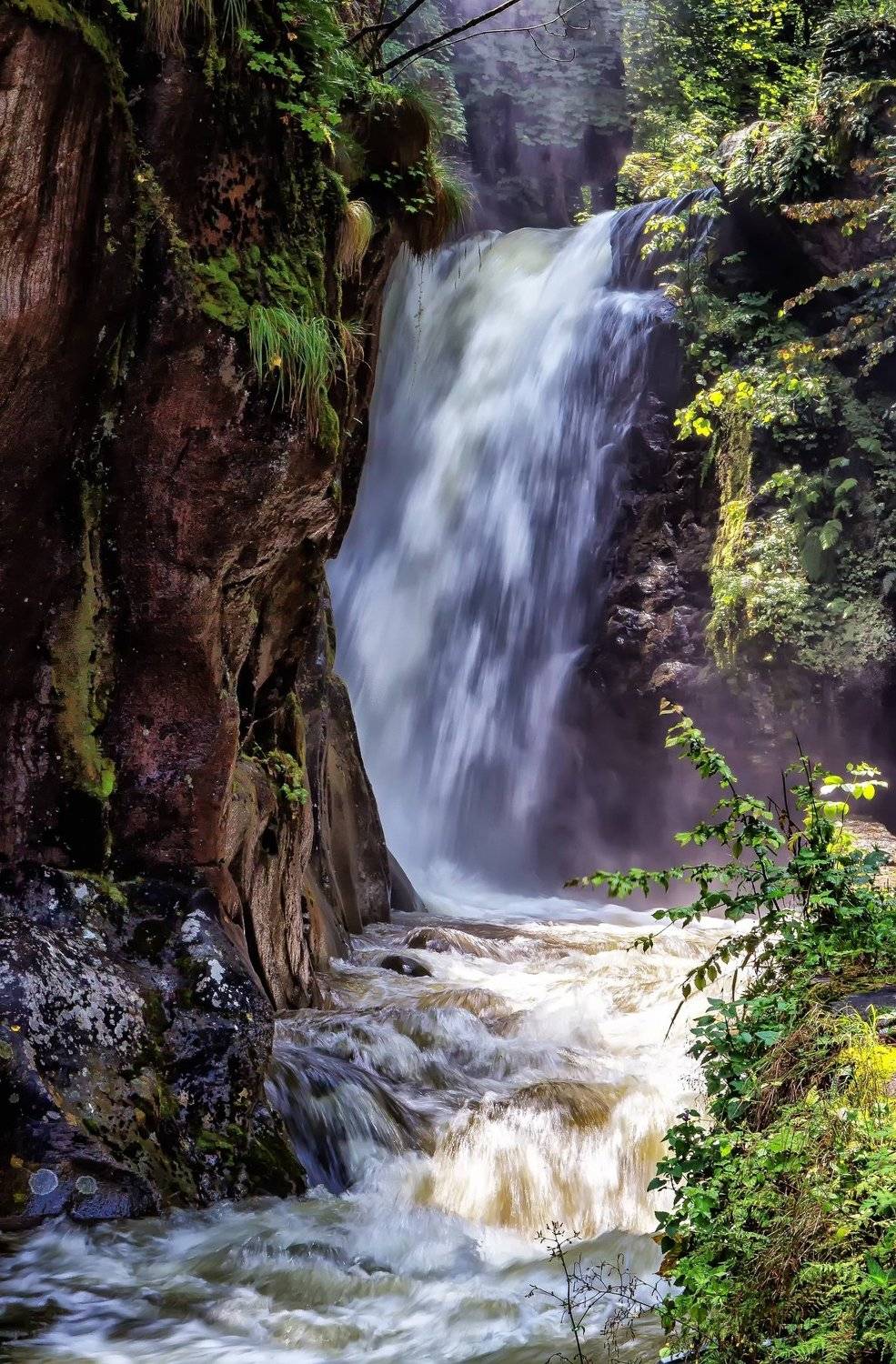 , Бистра Стоименова