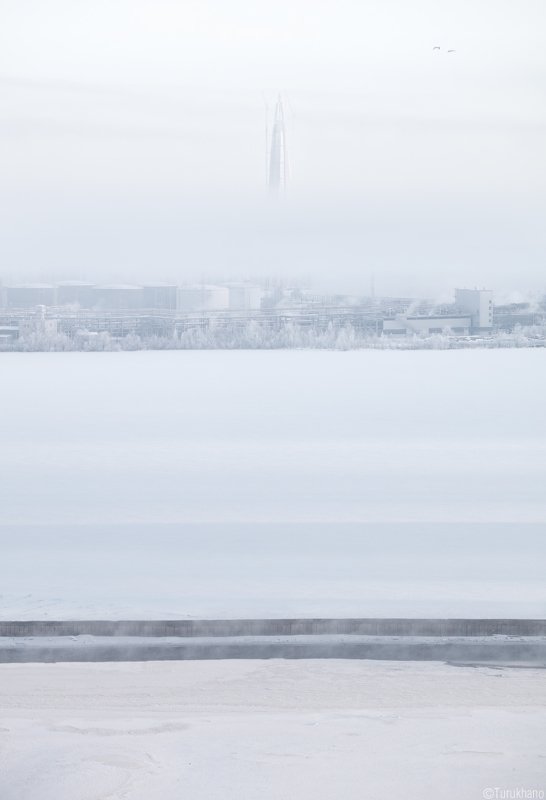 Вертикаль фото превью