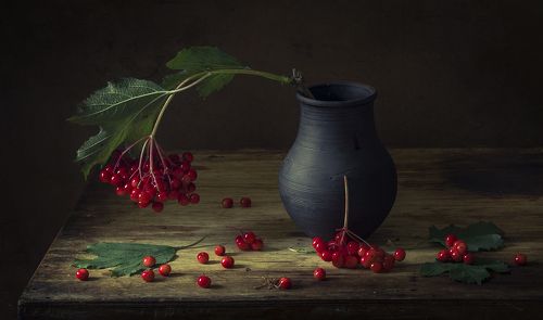 Калина